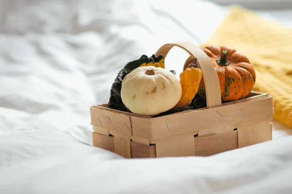 Halloween Pumpkins White Cloth — Stock Photo, Image