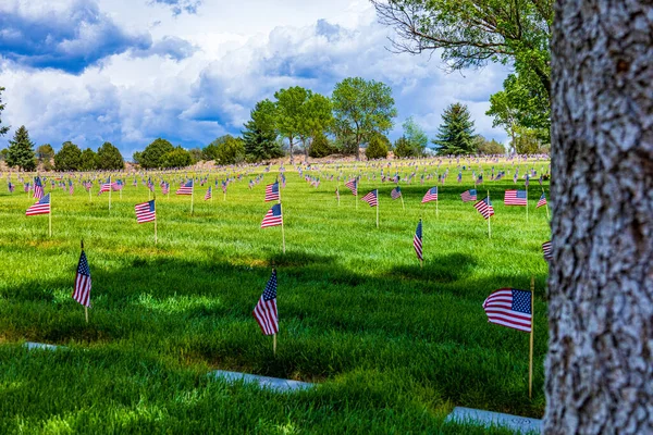アメリカの国旗が芝生の上で — ストック写真