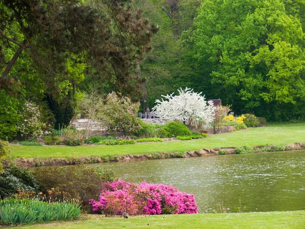 Piękny Ogród Kwiatami Parku — Zdjęcie stockowe