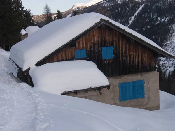 雪に覆われた木々の冬の風景 — ストック写真