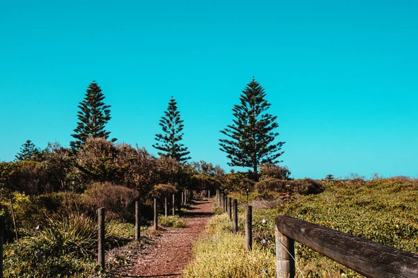 Prachtig Uitzicht Natuur — Stockfoto