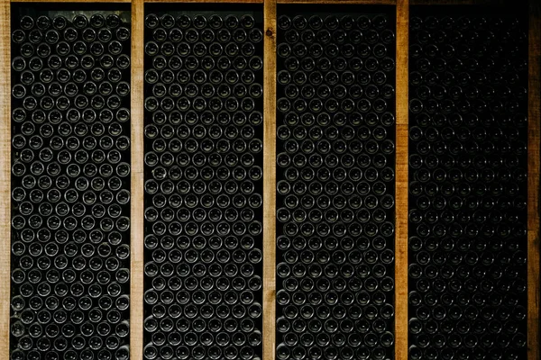 地下室の列のワインボトル — ストック写真