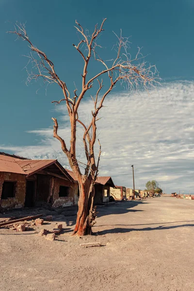 Casa Abandonada Desierto — Foto de Stock