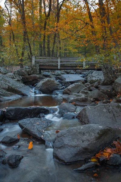 Hermoso Paisaje Otoñal Con Río Árboles —  Fotos de Stock