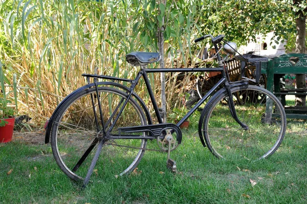 公園内の古い自転車は — ストック写真