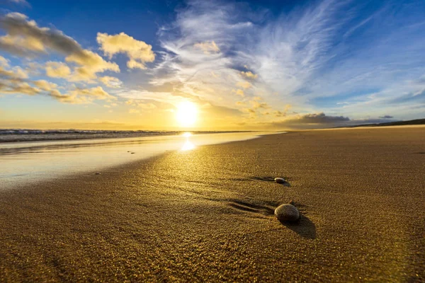 Vacker Solnedgång Stranden — Stockfoto