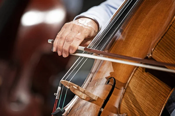 バイオリン芸術家のクローズアップ — ストック写真