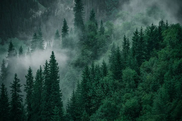 Piękny Widok Mglisty Krajobraz Górski — Zdjęcie stockowe