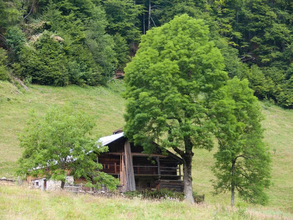 山の古い木造住宅 — ストック写真