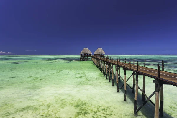 Krásná Tropická Pláž Palmami Modrou Oblohou — Stock fotografie