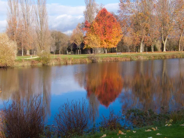 Paysage Automne Avec Arbres Reflets — Photo