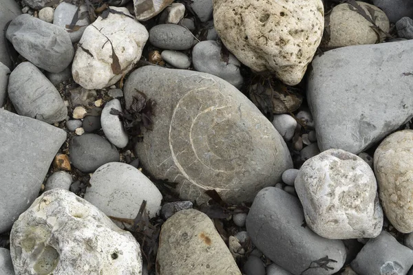 Steine Strand — Stockfoto