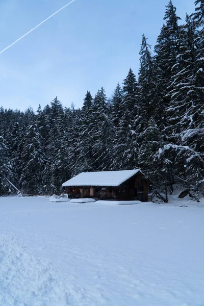 Hermoso Paisaje Invierno Con Árboles Cubiertos Nieve — Foto de Stock