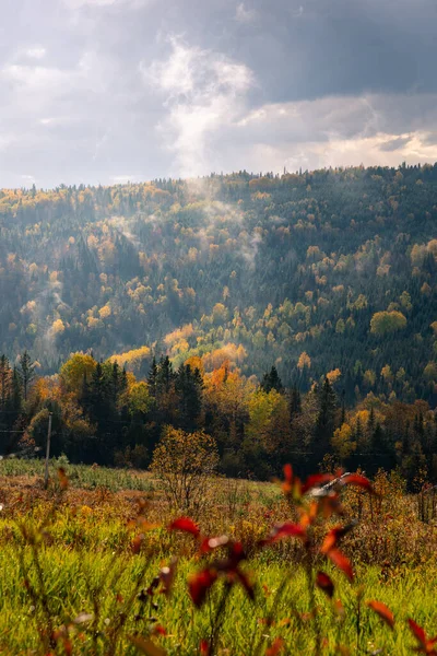 Gyönyörű Őszi Táj Fákkal Erdőkkel — Stock Fotó