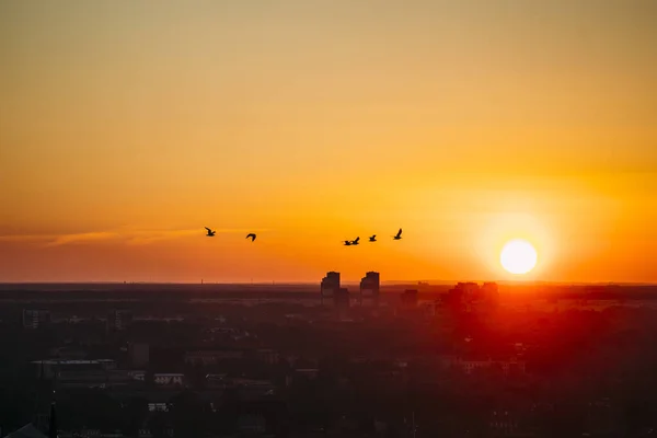 Solnedgång Över Staden — Stockfoto