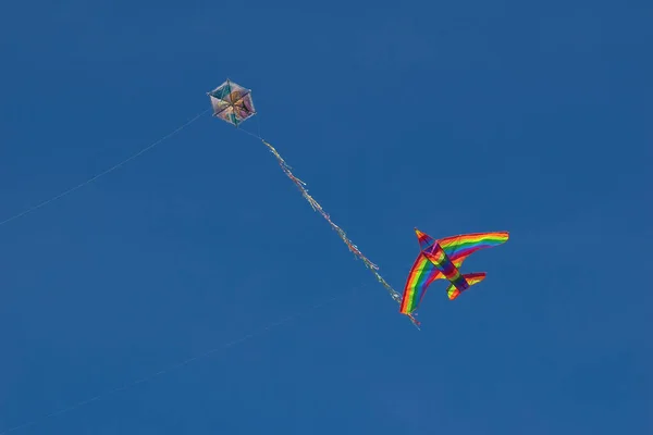 Drak Létající Modré Obloze — Stock fotografie