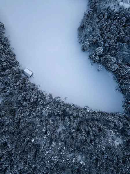 Vista Aérea Floresta Nas Montanhas — Fotografia de Stock