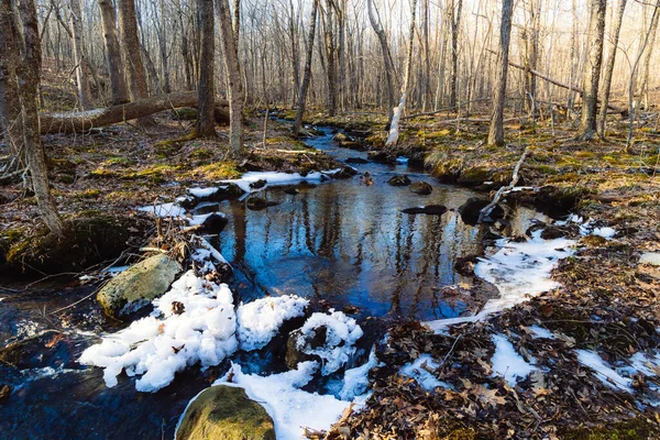 Hermoso Paisaje Con Río Bosque —  Fotos de Stock