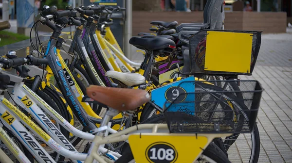 城市里的自行车泊车 — 图库照片
