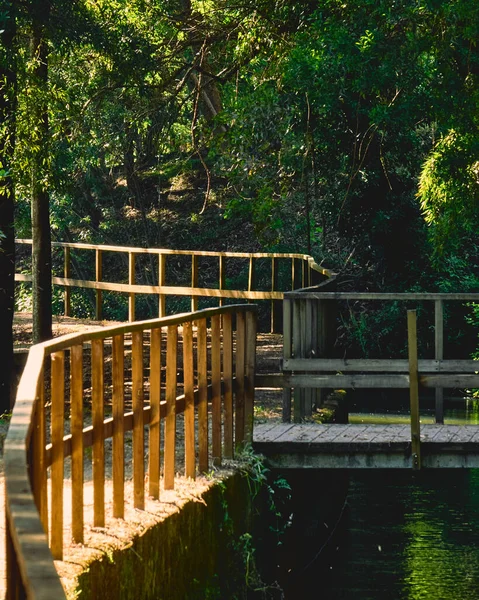 Holzbrücke Park — Stockfoto