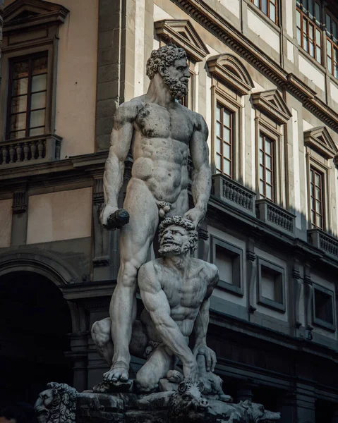 Staty Neptune Piazza Della Signoria Blomster Italy — Stockfoto