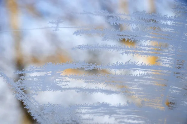Paisaje Invierno Con Vidrio Cubierto Nieve — Foto de Stock