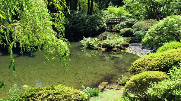 公園の美しい景色 — ストック写真