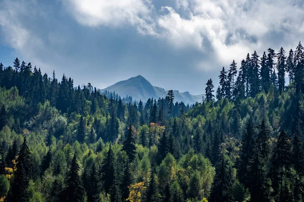 Hermoso Paisaje Con Montañas Bosque —  Fotos de Stock