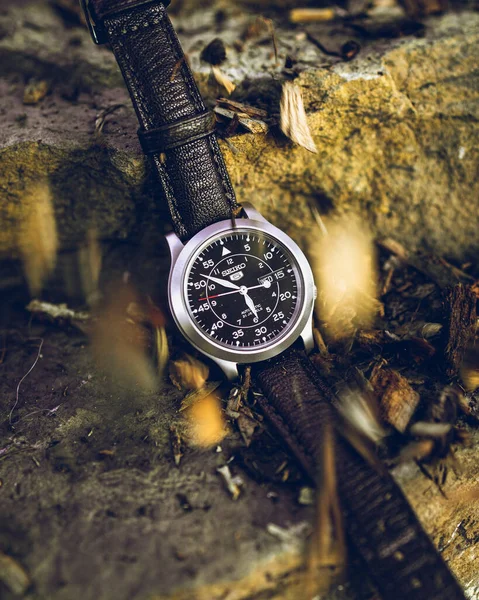 森の中の古い時計 — ストック写真