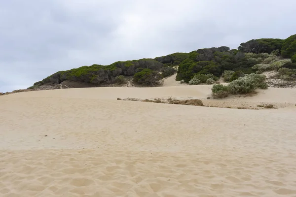 Belle Vue Sur Côte Mer — Photo