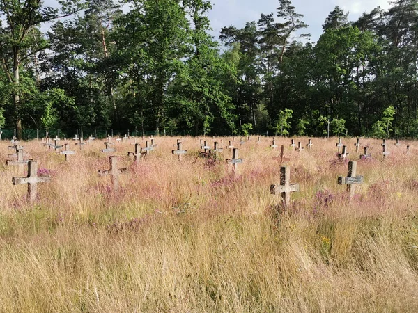 Beautiful View Cemetery Summer Day — Stock Photo, Image