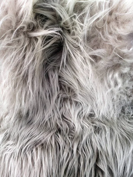 白いふわふわの毛皮の質感 — ストック写真