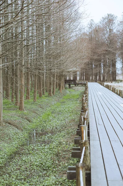 Holzbrücke Park — Stockfoto