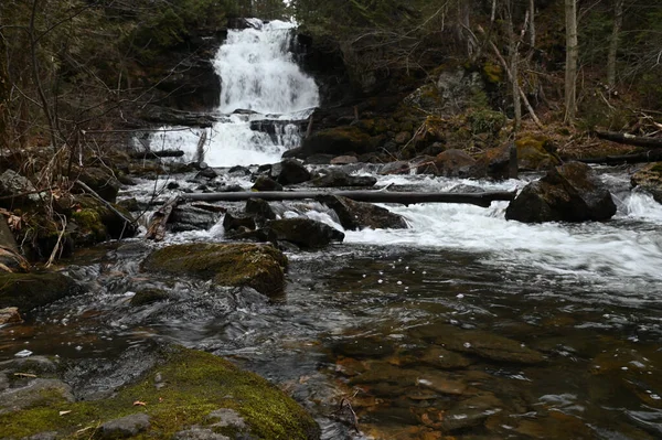 Schöner Wasserfall Wald — Stockfoto