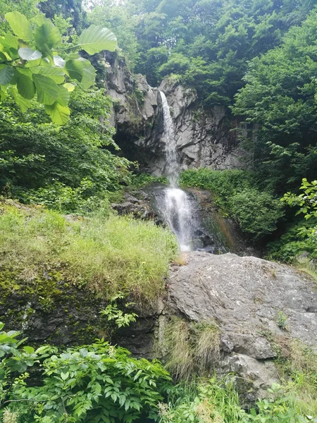 Cascade Dans Forêt — Photo