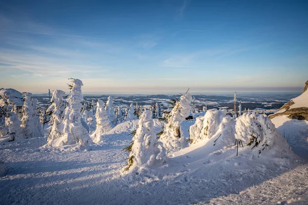 雪に覆われた木々の美しい冬の風景 — ストック写真