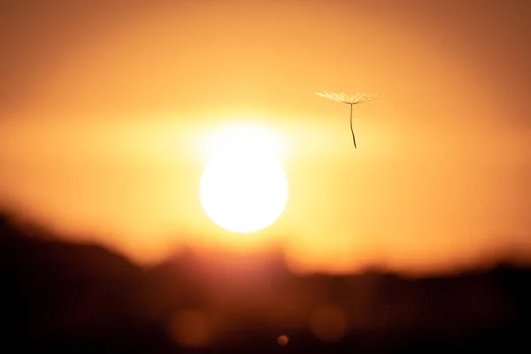 Coucher Soleil Dans Les Montagnes — Photo