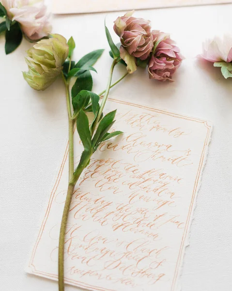 Gyönyörű Csokor Rózsa Virág Fehér Háttér — Stock Fotó
