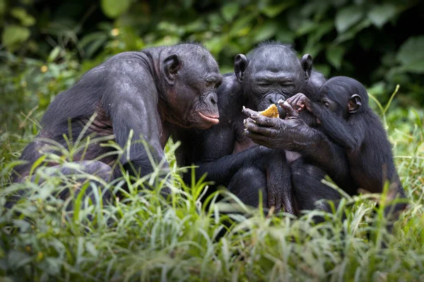 Madre Hijo Comiendo Plátano Bosque — Foto de Stock