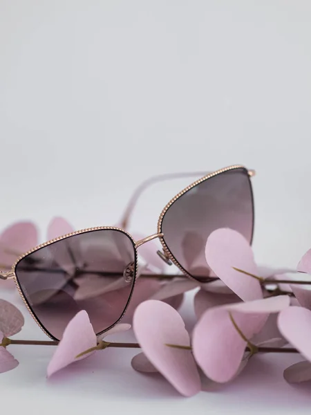 Sonnenbrille Und Brille Auf Weißem Hintergrund — Stockfoto