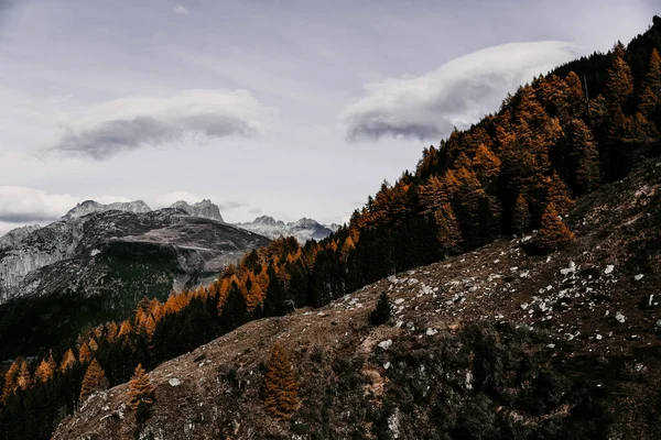 Arka Planda Dağ Sırası Olan Güzel Bir Manzara — Stok fotoğraf