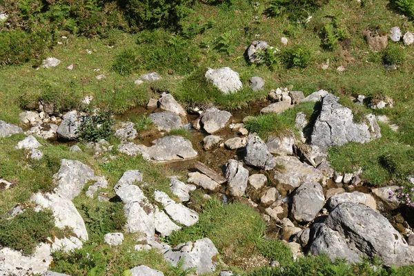 Yeşil Çimenleri Kayaları Olan Güzel Dağ Manzarası — Stok fotoğraf