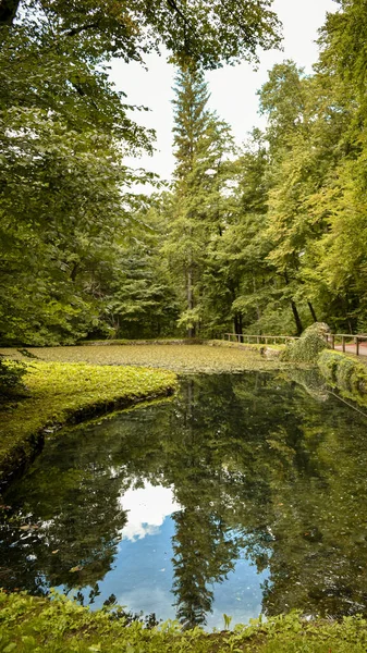 Piękny Widok Park — Zdjęcie stockowe