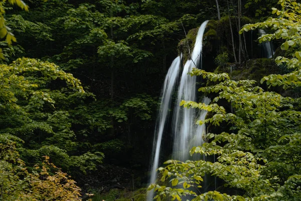 Cachoeira Floresta — Fotografia de Stock