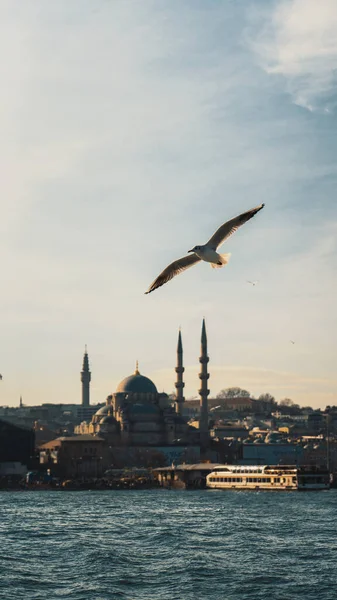 Вид Галатскую Башню Стамбул — стоковое фото