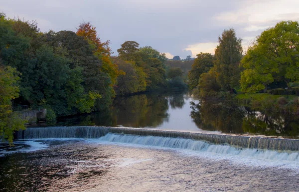 Prachtig Uitzicht Rivier Het Park — Stockfoto