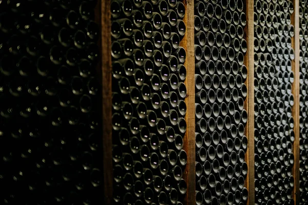地下室の列のワインボトル — ストック写真