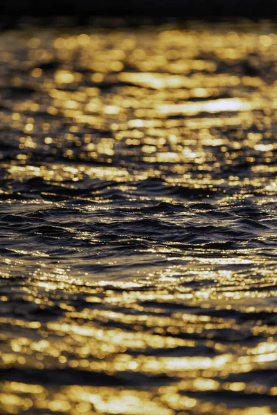 Havsvatten Med Vågor Och Ringar — Stockfoto