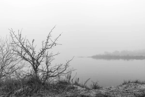 Bela Paisagem Com Rio Fundo — Fotografia de Stock