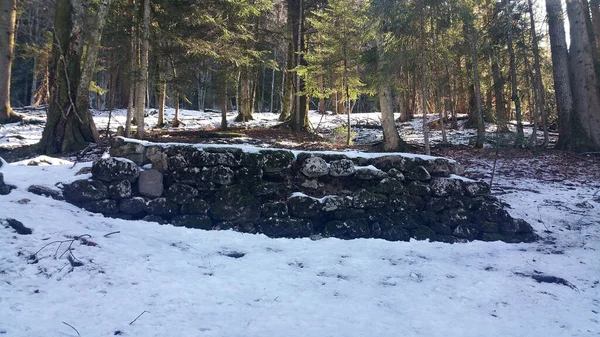 Bela Paisagem Com Árvores Cobertas Neve — Fotografia de Stock